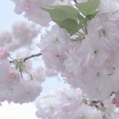 Furry插画色彩解析兽圈群